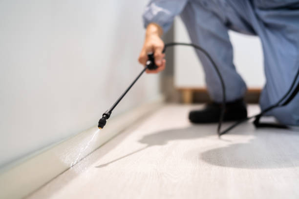 Licensed Termite Control service in Hinds County County, MS - Nex Pest Control