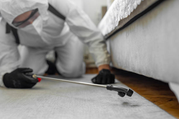 Professional Termite Control technician working in Hinds County County, MS